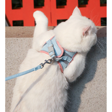 Load image into Gallery viewer, Harness and Leash Set - San Frenchie
