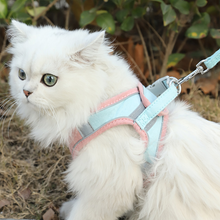 Load image into Gallery viewer, Harness and Leash Set - San Frenchie