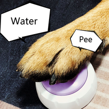Load image into Gallery viewer, Pet Communication Button - San Frenchie