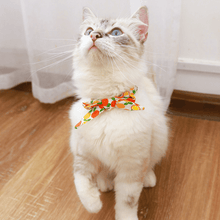 Load image into Gallery viewer, Fruity Cooling Bandana - San Frenchie