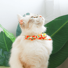 Load image into Gallery viewer, Fruity Cooling Bandana - San Frenchie