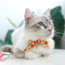 Load image into Gallery viewer, Fruity Cooling Bandana - San Frenchie