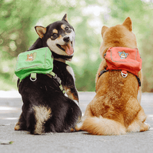 Load image into Gallery viewer, Personalized Embroidered Pet Backpack - San Frenchie