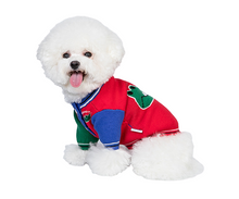 Load image into Gallery viewer, Crocodile Pet Sweater