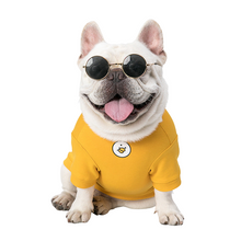 Load image into Gallery viewer, Yellow Pet Hoodie
