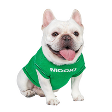 Load image into Gallery viewer, Cloud Green Sweater Vest