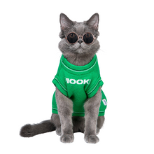 Load image into Gallery viewer, Cloud Green Sweater Vest