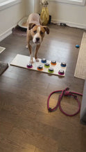 Load and play video in Gallery viewer, Pet Communication Button