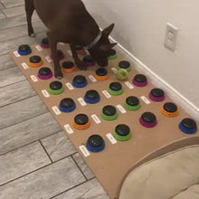 Load and play video in Gallery viewer, Pet Communication Button