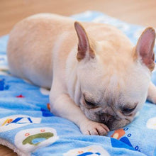 Load image into Gallery viewer, Sleeping Mat for Pets - San Frenchie