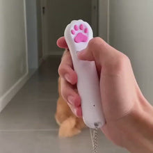 Load and play video in Gallery viewer, Paw Pen Laser