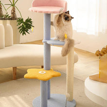 Load image into Gallery viewer, Ocean View Cat Climbing Tree - San Frenchie