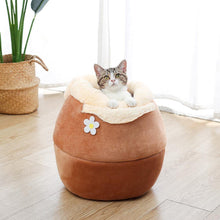 Load image into Gallery viewer, Honey Jar Plush Pet House - San Frenchie