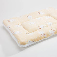 Load image into Gallery viewer, Sleeping Mat for Pets - San Frenchie