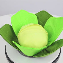 Load and play video in Gallery viewer, Cabbage Snuffle Mat