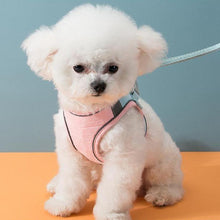 Load image into Gallery viewer, Harness and Leash Set - San Frenchie