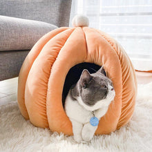 Load image into Gallery viewer, Cactus Pet Cave and Bed - San Frenchie