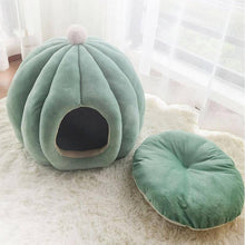 Load image into Gallery viewer, Cactus Pet Cave and Bed - San Frenchie