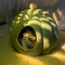 Load image into Gallery viewer, Cactus Pet Cave and Bed - San Frenchie