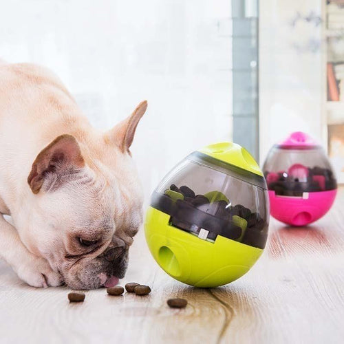 IQ Ball For Dogs - San Frenchie