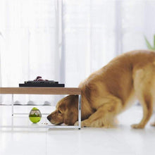 Load image into Gallery viewer, IQ Ball For Dogs - San Frenchie