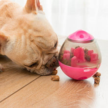 Load image into Gallery viewer, IQ Ball For Dogs - San Frenchie