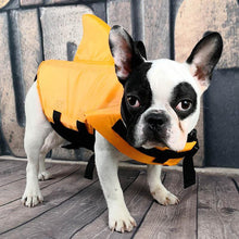 Load image into Gallery viewer, Shark Dog Safety Life Jacket - San Frenchie