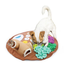 Load image into Gallery viewer, Raccoon Snuffle Mat - San Frenchie