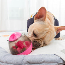 Load image into Gallery viewer, IQ Ball For Dogs - San Frenchie