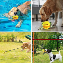 Load image into Gallery viewer, Interactive Dog Chew Toys - San Frenchie