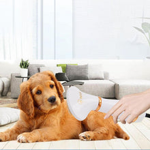 Load image into Gallery viewer, 2-In-1 Portable Pet Dryer - San Frenchie
