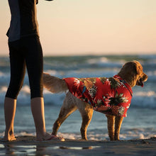 Load image into Gallery viewer, 4 Pieces Hawaiian Shirts - San Frenchie