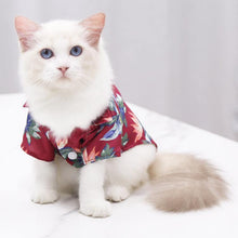 Load image into Gallery viewer, 4 Pieces Hawaiian Shirts - San Frenchie