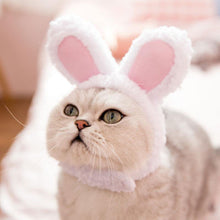 Load image into Gallery viewer, Bunny Headpiece - Pet Halloween Costume - San Frenchie