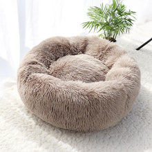 Load image into Gallery viewer, Donut Calming Bed for Dogs and Cats - San Frenchie