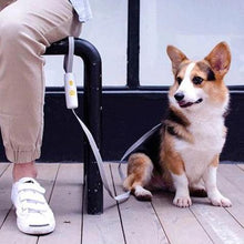 Load image into Gallery viewer, Hands Free Leash for Small & Medium Dogs - San Frenchie
