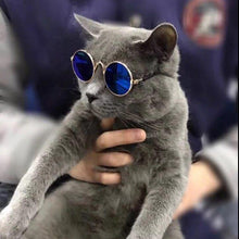 Load image into Gallery viewer, Sunglasses for Small Dogs and Cats - San Frenchie