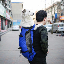 Load image into Gallery viewer, Pet Carrier Backpack - San Frenchie