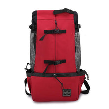 Load image into Gallery viewer, Pet Carrier Backpack - San Frenchie