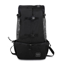 Load image into Gallery viewer, Pet Carrier Backpack - San Frenchie
