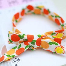 Load image into Gallery viewer, Fruity Cooling Bandana - San Frenchie