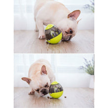 Load image into Gallery viewer, IQ Ball For Dogs - San Frenchie