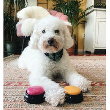 Load image into Gallery viewer, Pet Communication Button - San Frenchie
