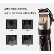 Load image into Gallery viewer, Pawfection Grooming Kit - San Frenchie