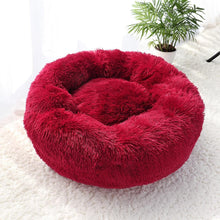 Load image into Gallery viewer, Donut Calming Bed for Dogs and Cats - San Frenchie