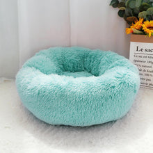 Load image into Gallery viewer, Donut Calming Bed for Dogs and Cats - San Frenchie