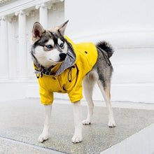 Load image into Gallery viewer, Premium Quality Raincoat for Dogs - San Frenchie