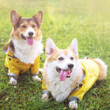 Load image into Gallery viewer, Premium Quality Raincoat for Dogs - San Frenchie
