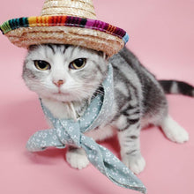 Load image into Gallery viewer, Summer Straw Hat (w/ FREE Scarf) - San Frenchie