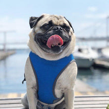 Load image into Gallery viewer, Cooling Vest - San Frenchie